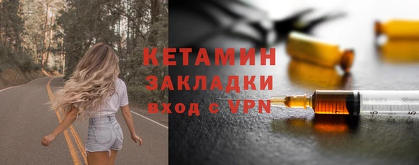 шишки Медвежьегорск