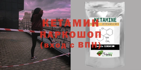 сатива Абинск