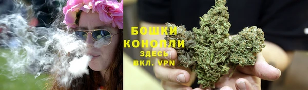 spice Абаза