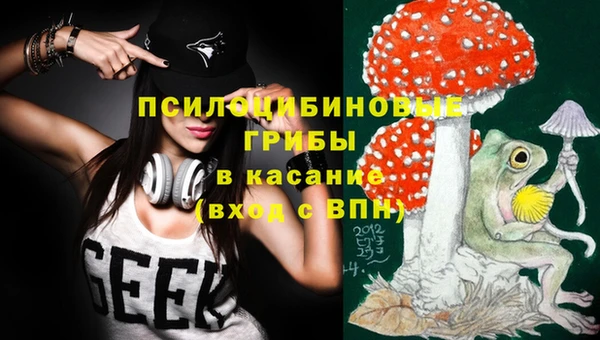 таблы Алзамай