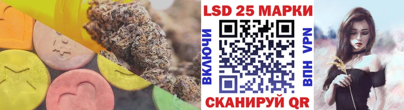 kraken зеркало  Чекалин  Лсд 25 экстази кислота 